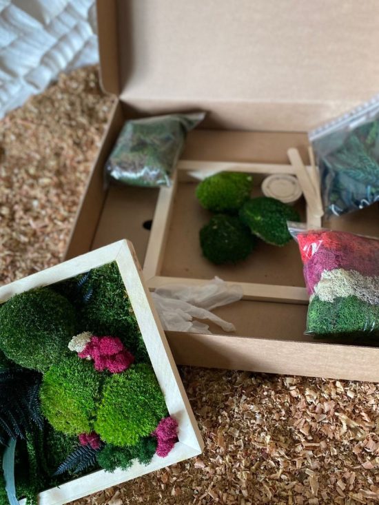 Box DIY mini Bélouve