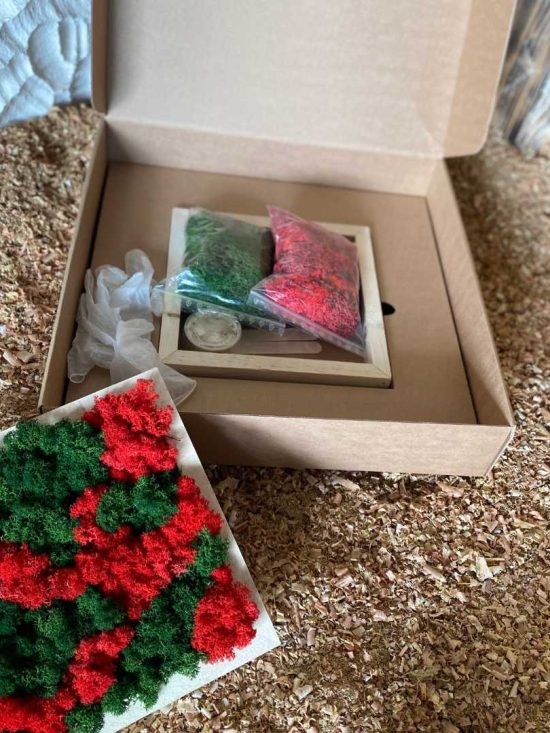 Box DIY Renne