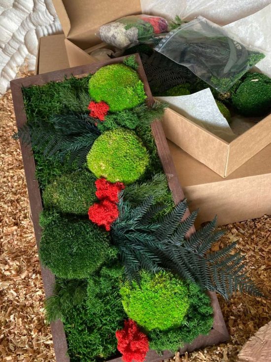 BOX DIY Ti'Brûlé