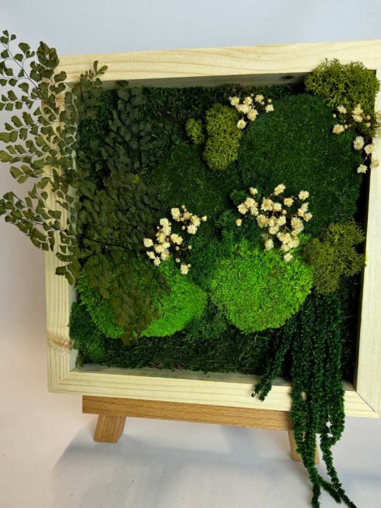 Cadre Mini Jardin Gypsophile Blanc - végétal stabilisé