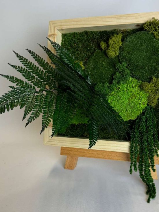 Cadre Mini Bélouve Lichen Vert - végétal stabilisé