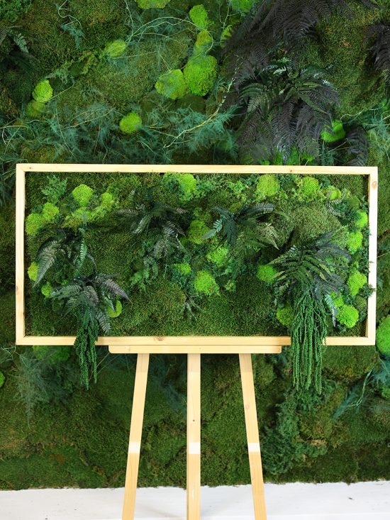 MA25211005- Cadre Végétal Stabilisé 60 x 120