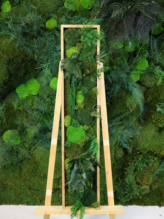 MA25211006 - Cadre Végétal Stabilisé 25 x 120