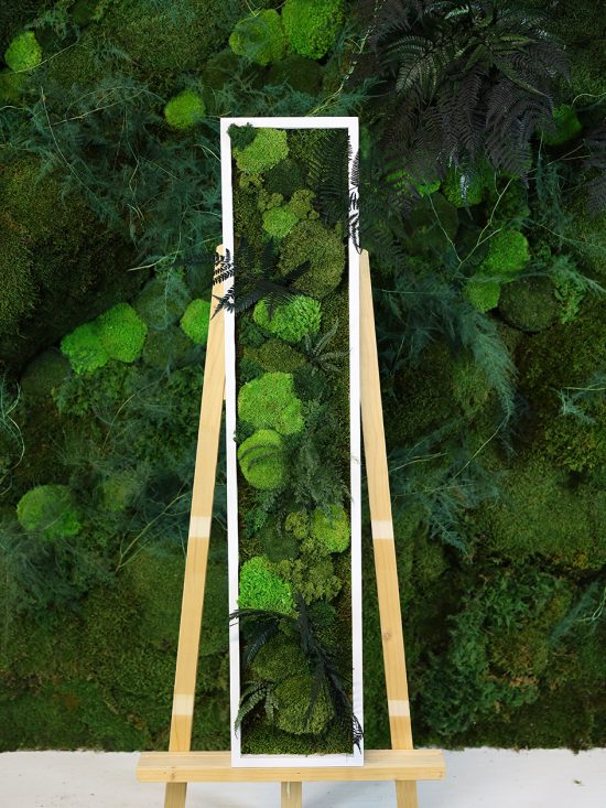 MA25211002 - Cadre Végétal Stabilisé 25 x 120