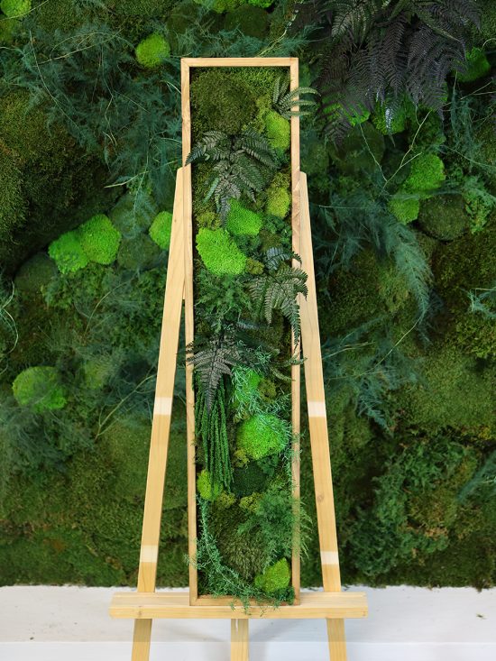 MA25211007 - Cadre Végétal Stabilisé 25 x 120