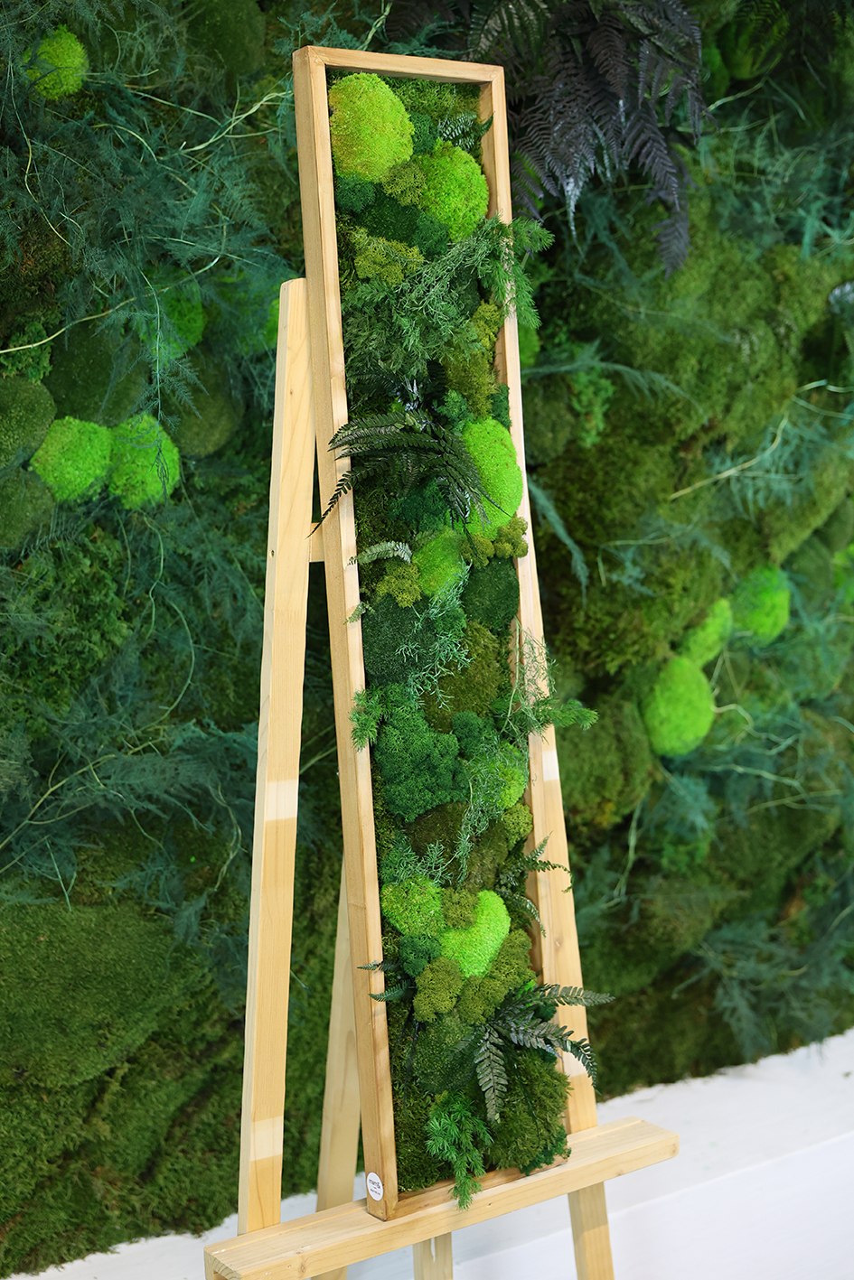 MA25211008 - Cadre Végétal Stabilisé 25 x 120