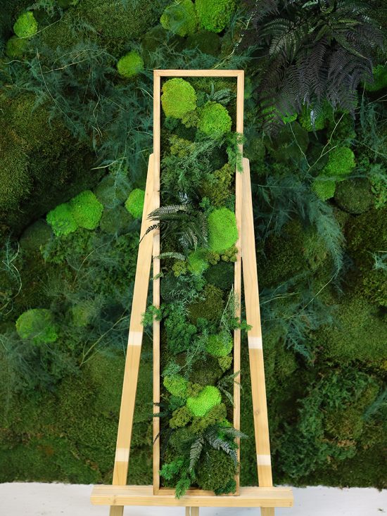 MA25211008 - Cadre Végétal Stabilisé 25 x 120