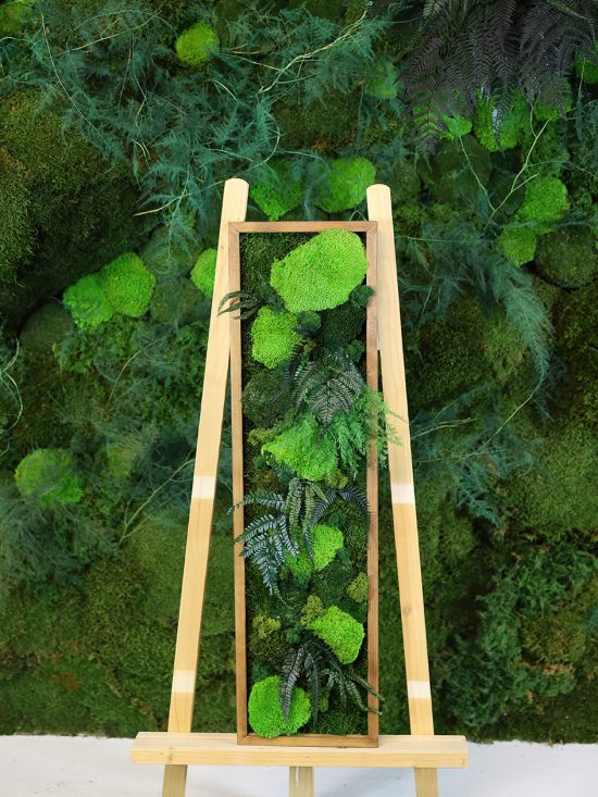 MA25211009 - Cadre Végétal Stabilisé 25 x 90