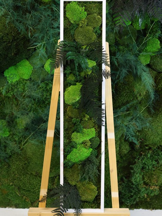 MA25211003- Cadre Végétal Stabilisé 25 x 120