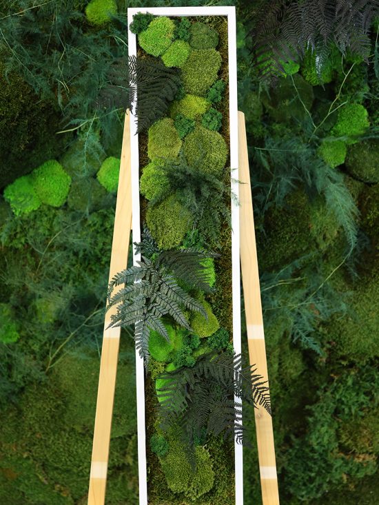 MA25211001 - Cadre Végétal Stabilisé 25 x 120