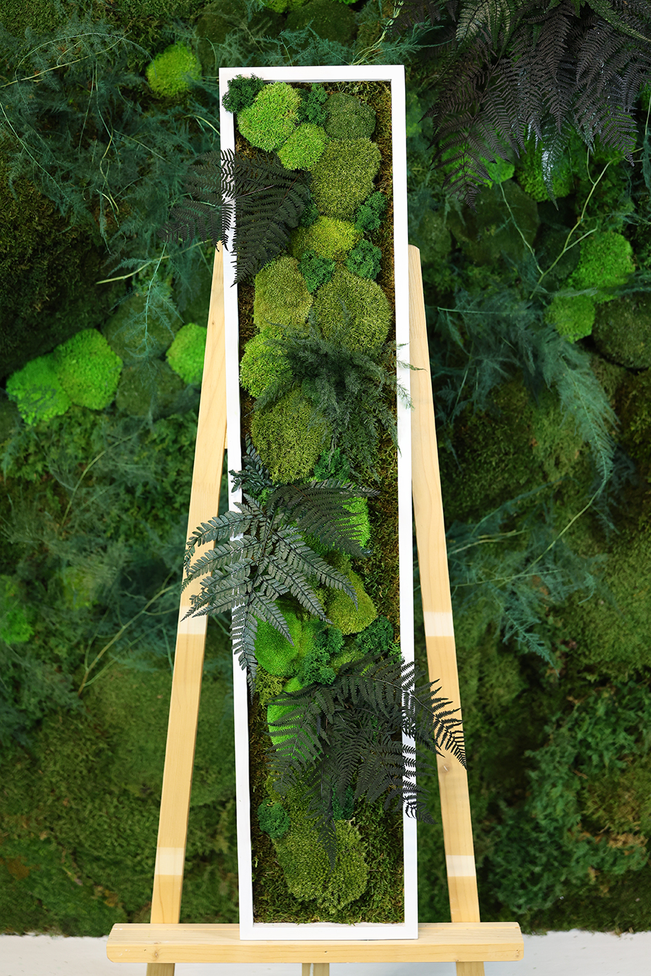 MA25211001 - Cadre Végétal Stabilisé 25 x 120