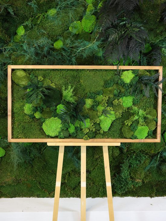 MA25211004- Cadre Végétal Stabilisé 60 x 120