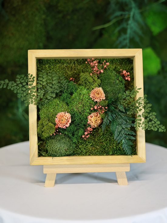 MA25012110 - Cadre Végétal Stabilisé 25 x 50