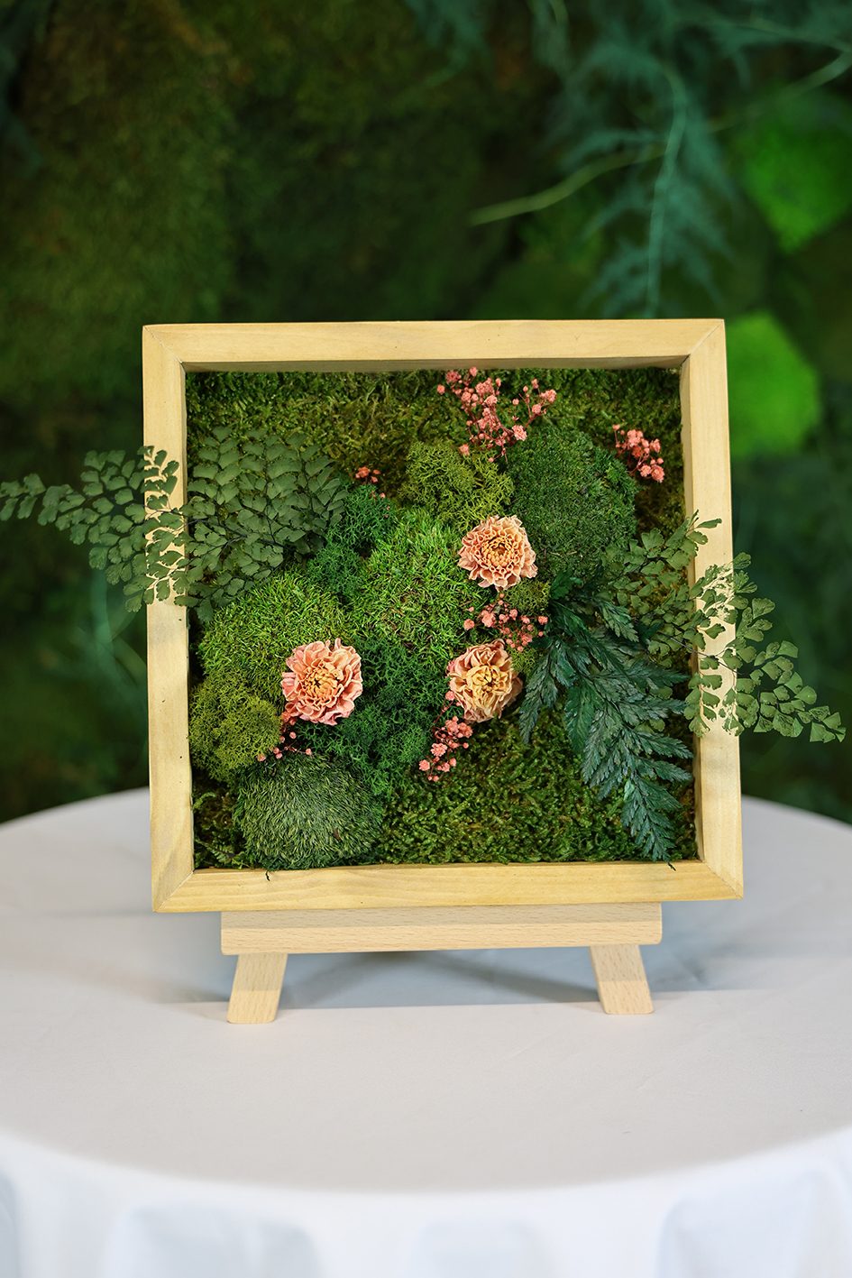 MA25012110 - Cadre Végétal Stabilisé 25 x 50