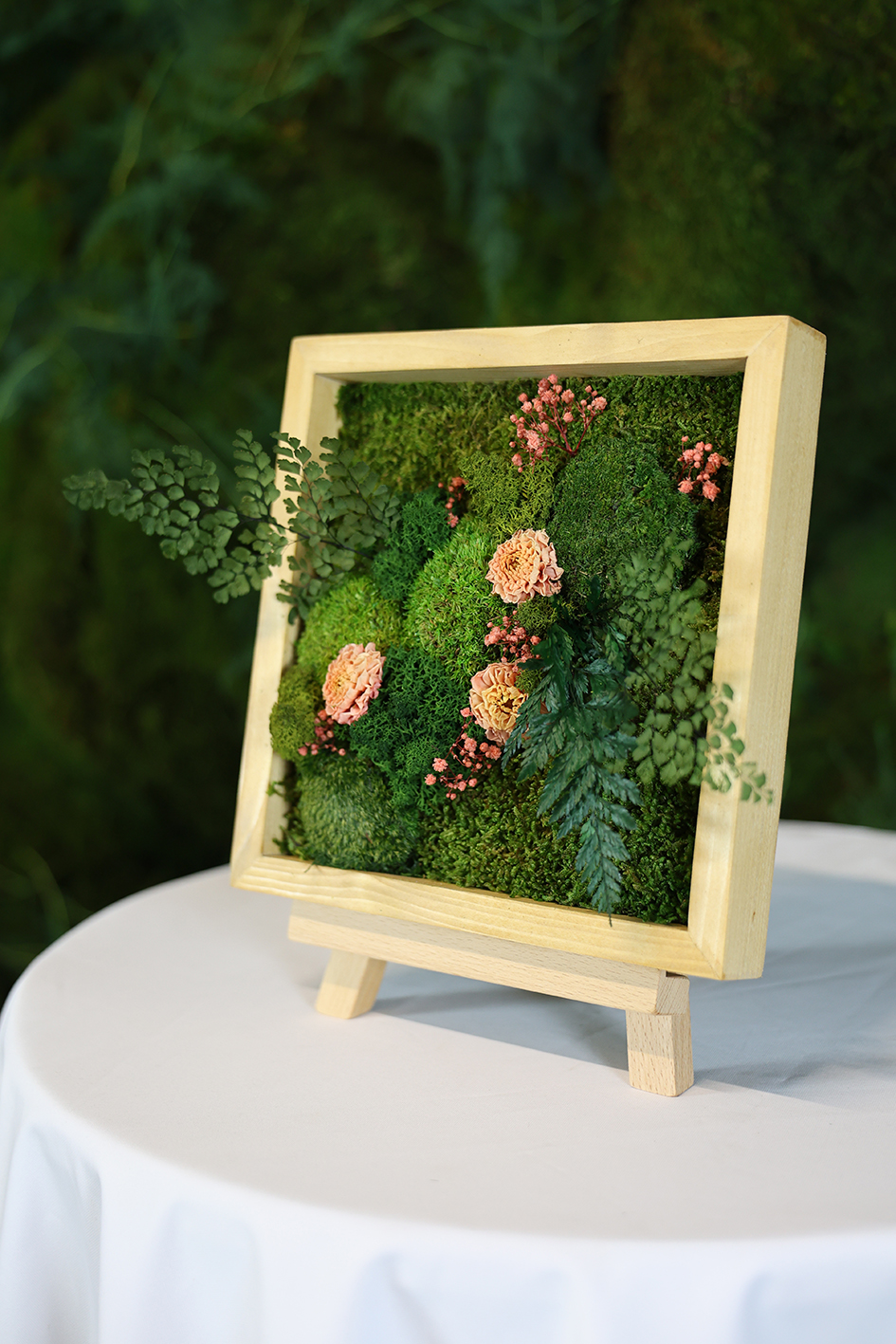 MA25012110 - Cadre Végétal Stabilisé 25 x 50