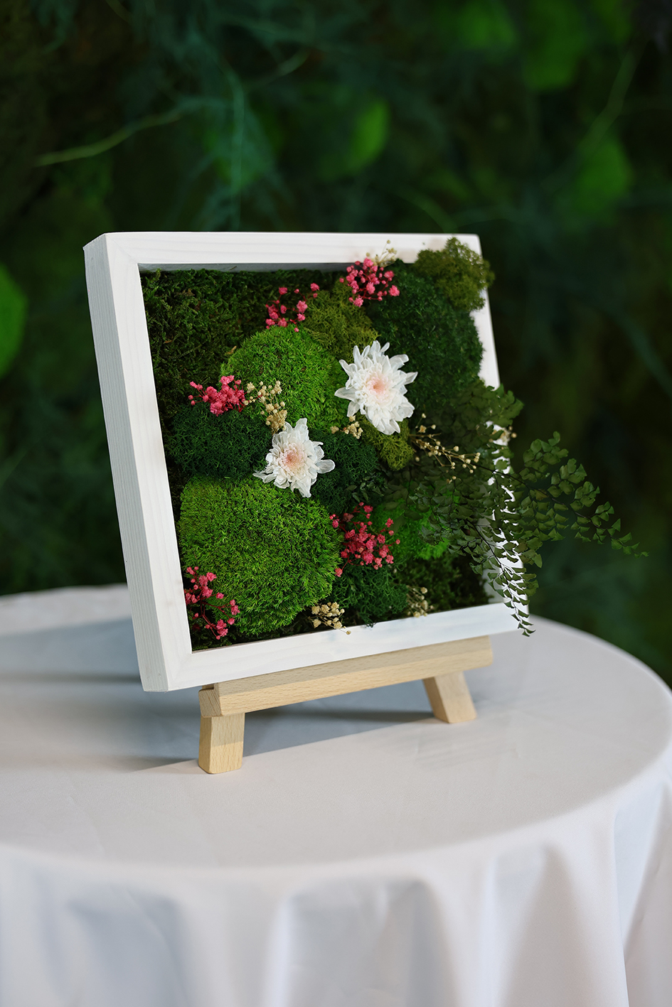 MA25022110 - Cadre Végétal Stabilisé 25 x 50