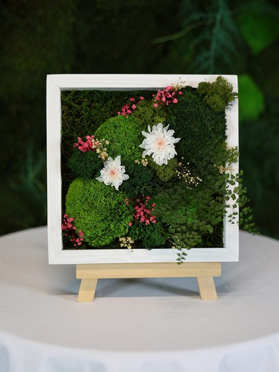 MA25022110 - Cadre Végétal Stabilisé 25 x 50