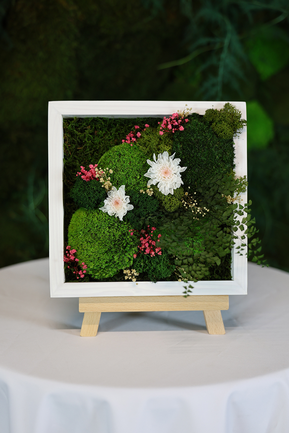 MA25022110 - Cadre Végétal Stabilisé 25 x 50