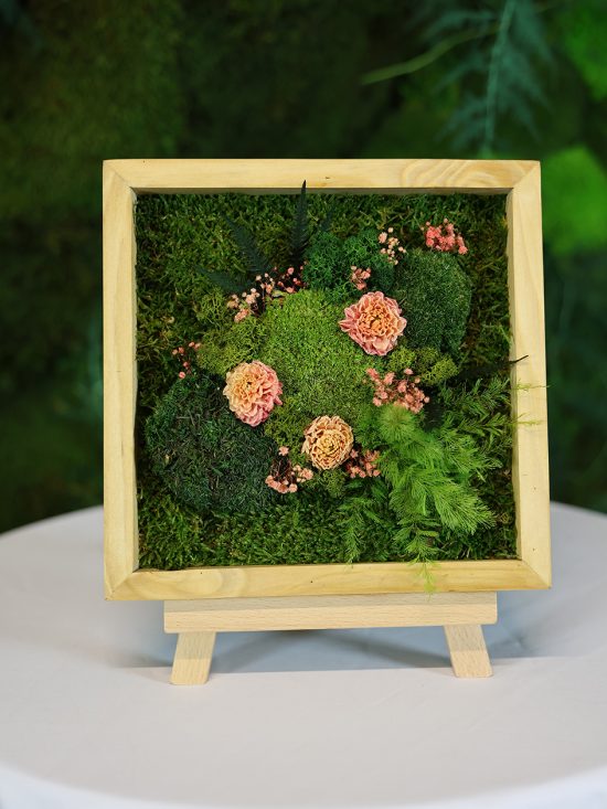 MA25032110 - Cadre Végétal Stabilisé 25 x 50