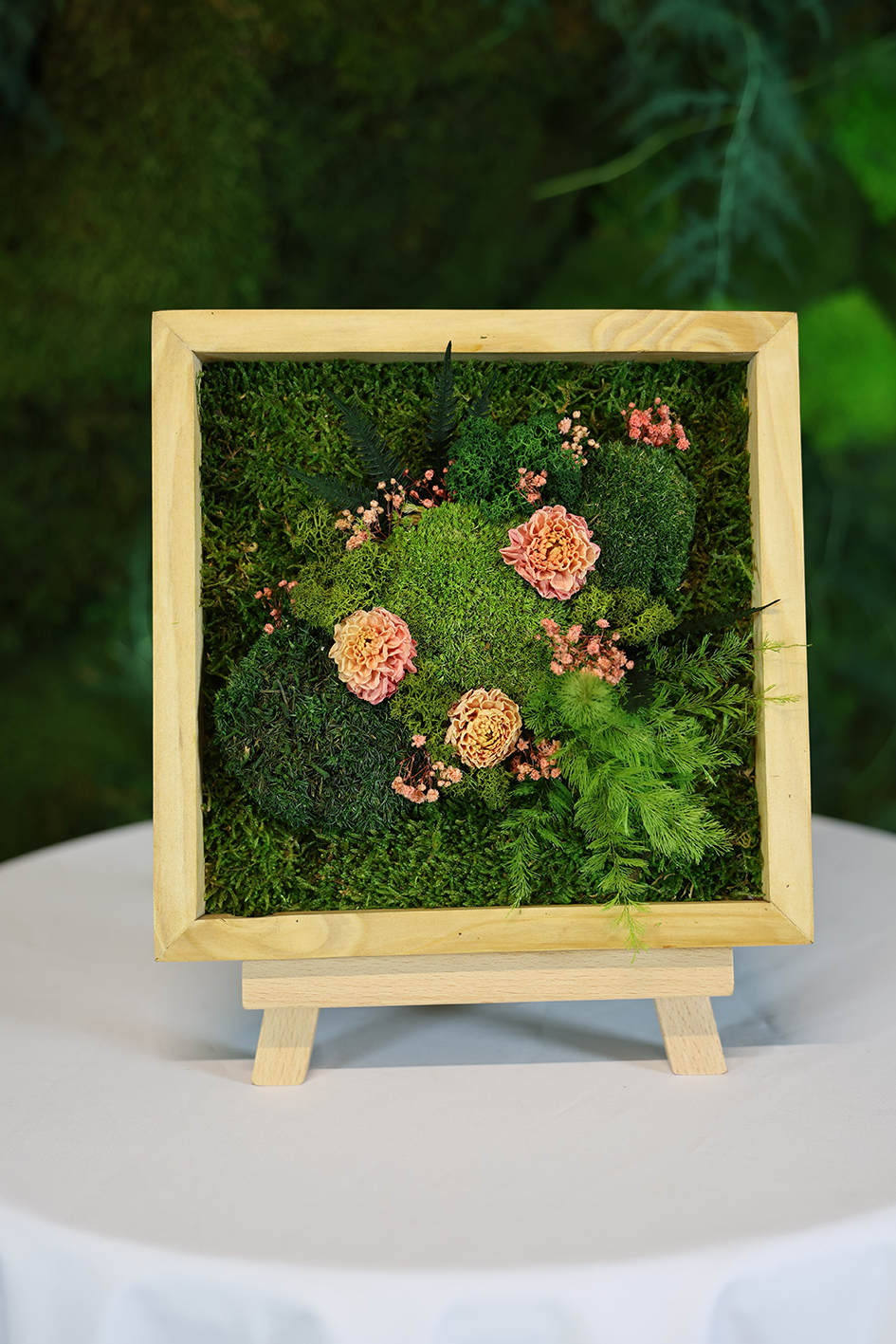 MA25032110 - Cadre Végétal Stabilisé 25 x 50