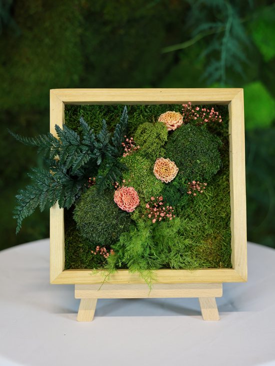 MA25042110 - Cadre Végétal Stabilisé 25 x 50