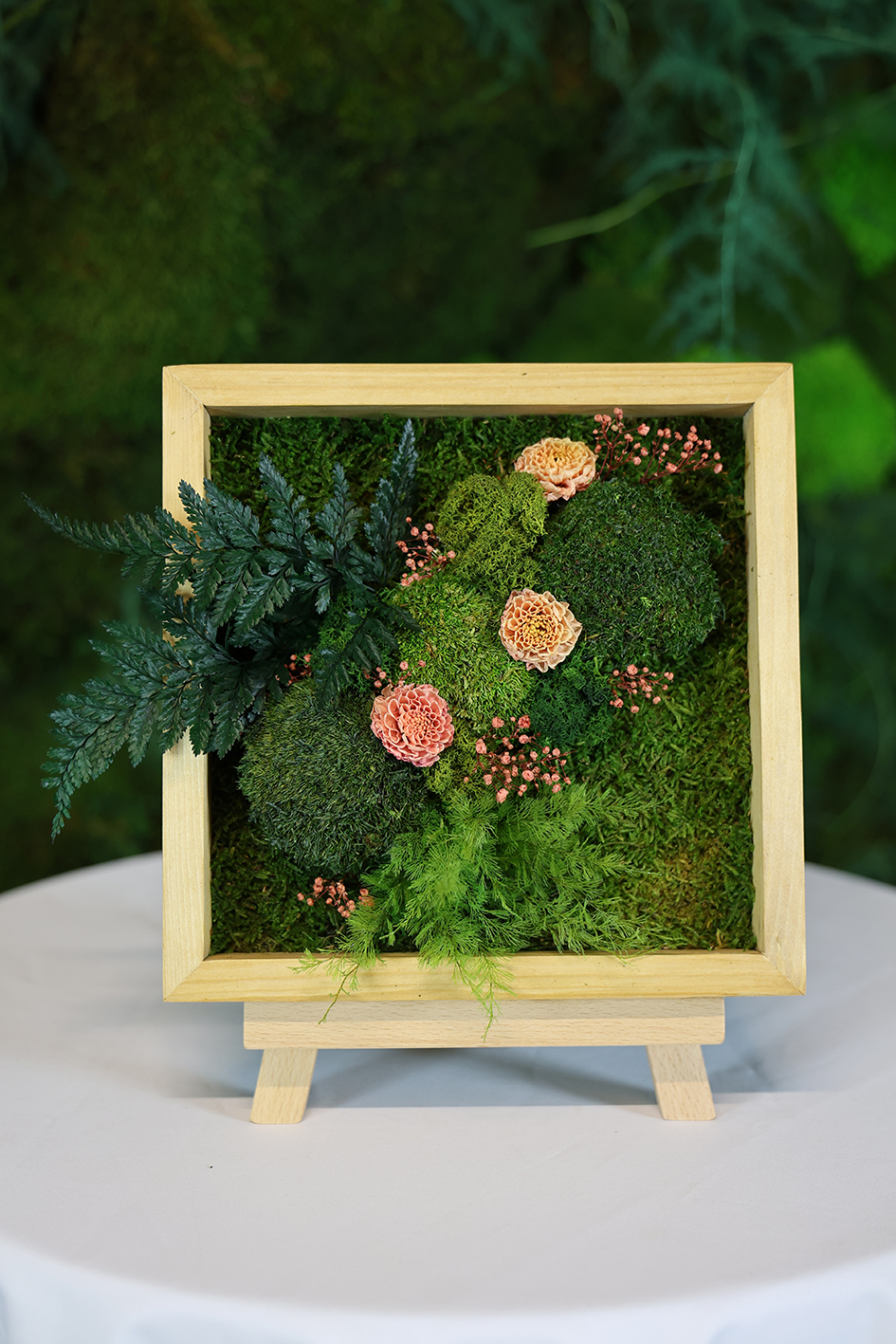 MA25042110 - Cadre Végétal Stabilisé 25 x 50