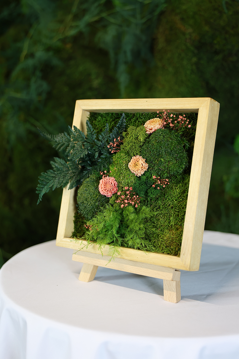 MA25042110 - Cadre Végétal Stabilisé 25 x 50