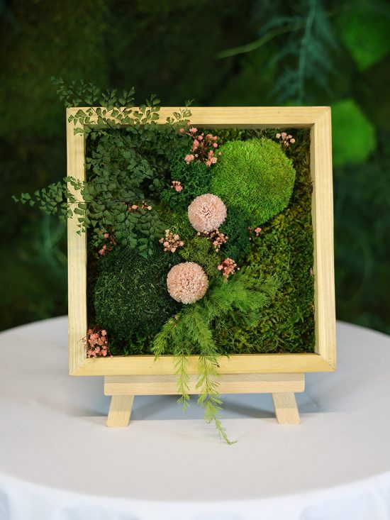 MA25052110 - Cadre Végétal Stabilisé 25 x 50