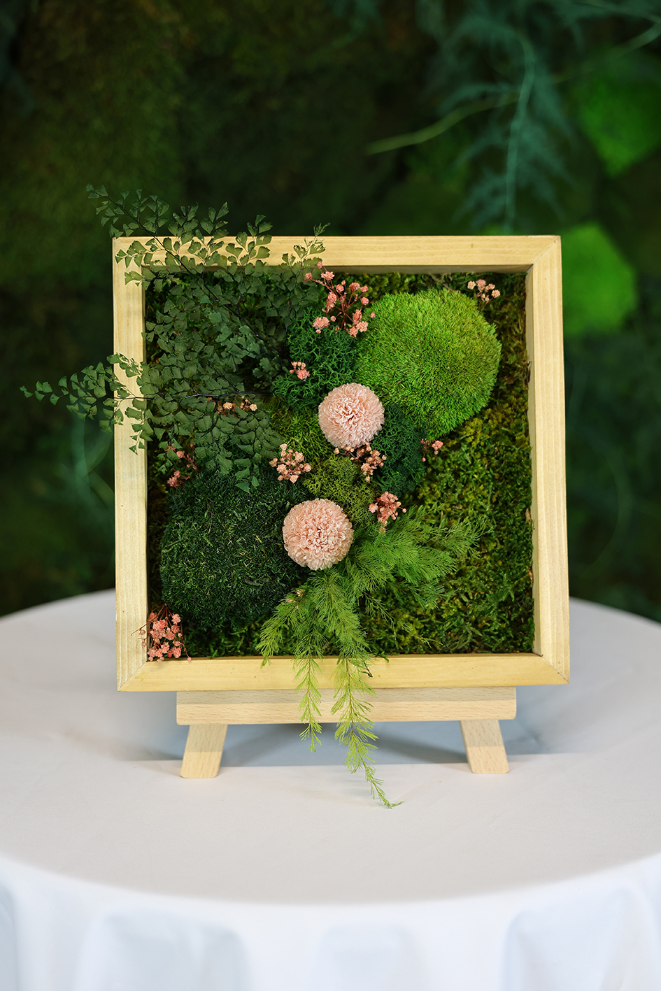 MA25052110 - Cadre Végétal Stabilisé 25 x 50