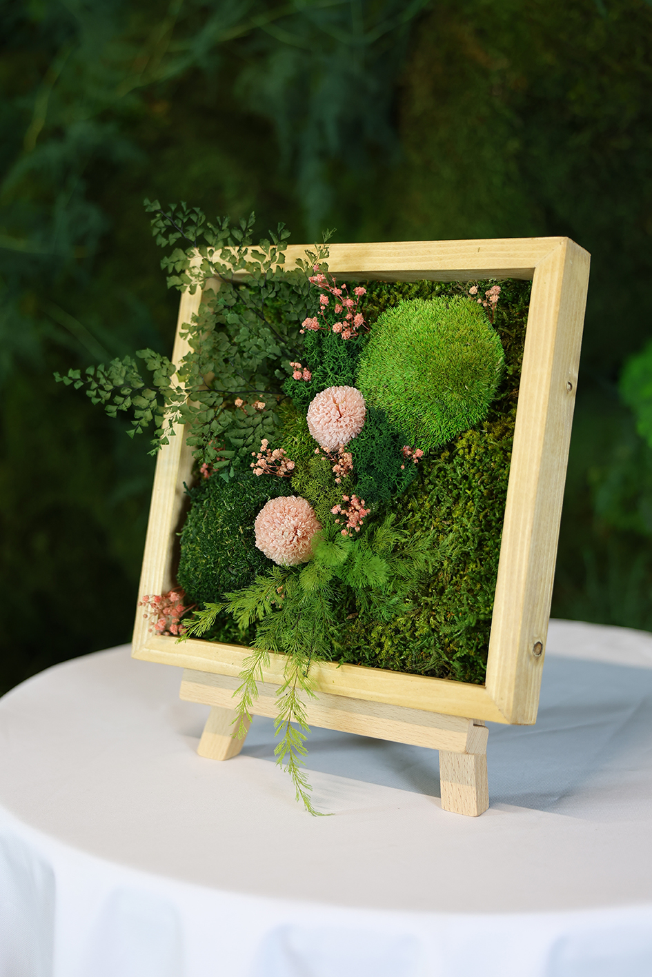 MA25052110 - Cadre Végétal Stabilisé 25 x 50