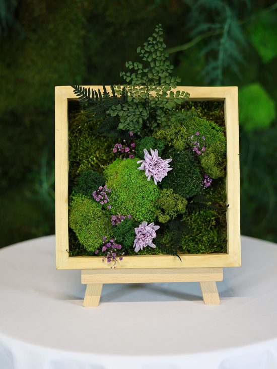 MA25062110 - Cadre Végétal Stabilisé 25 x 50