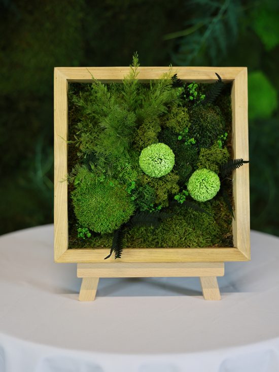 MA25072110 - Cadre Végétal Stabilisé 25 x 50