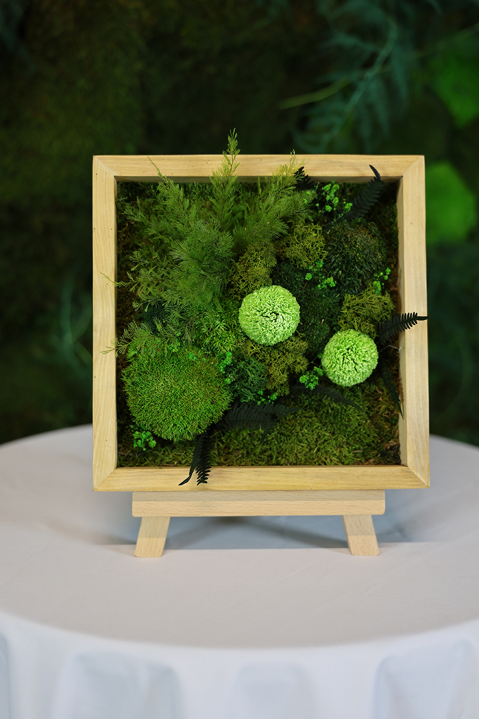 MA25072110 - Cadre Végétal Stabilisé 25 x 50