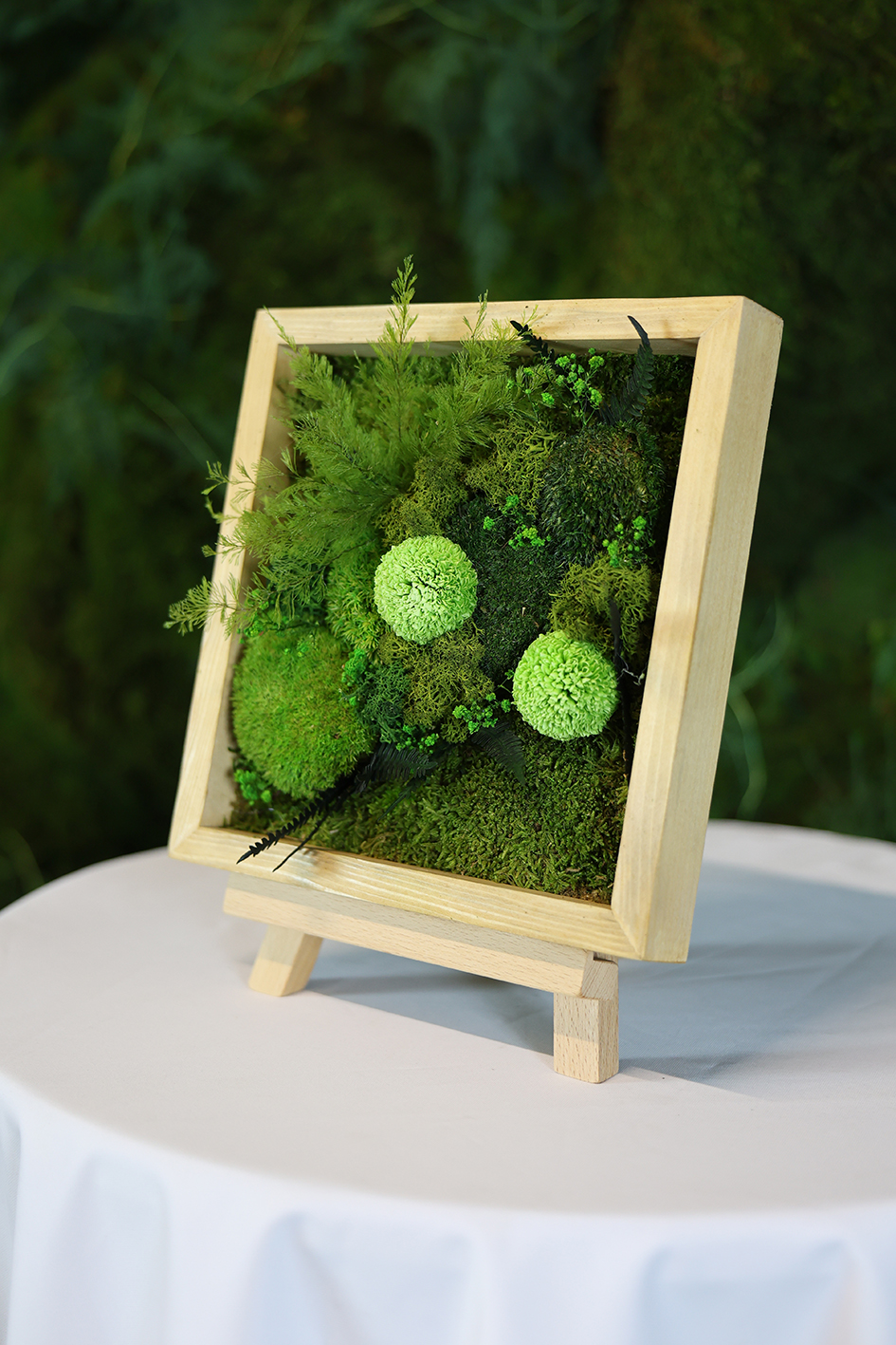 MA25072110 - Cadre Végétal Stabilisé 25 x 50