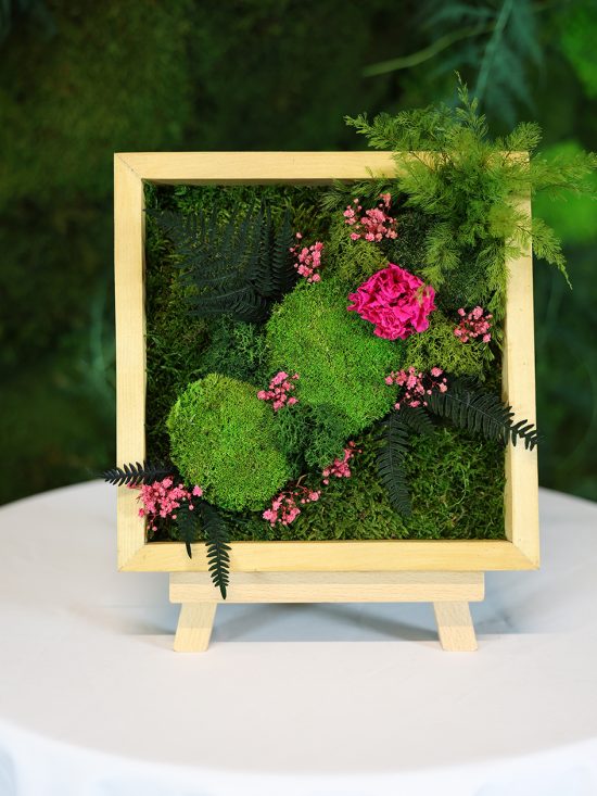 MA25082110 - Cadre Végétal Stabilisé 25 x 50