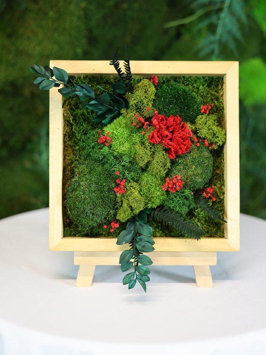 MA25092110 - Cadre Végétal Stabilisé 25 x 50