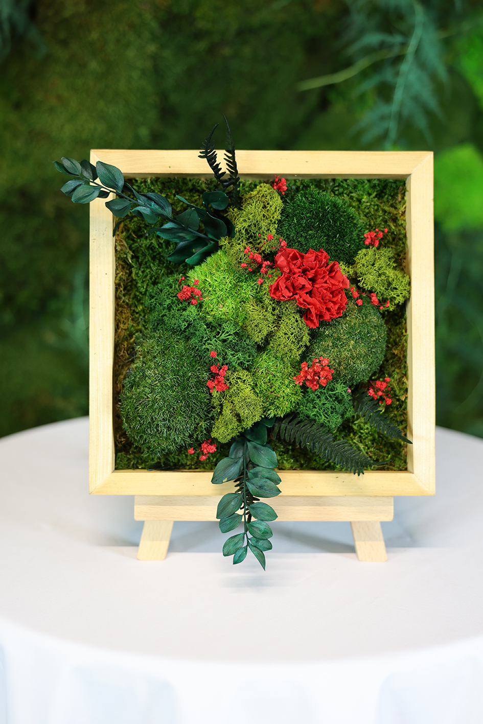 MA25092110 - Cadre Végétal Stabilisé 25 x 50