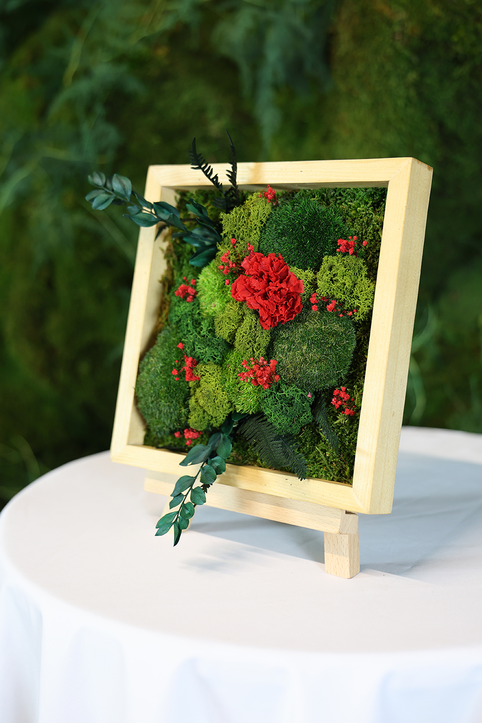 MA25092110 - Cadre Végétal Stabilisé 25 x 50