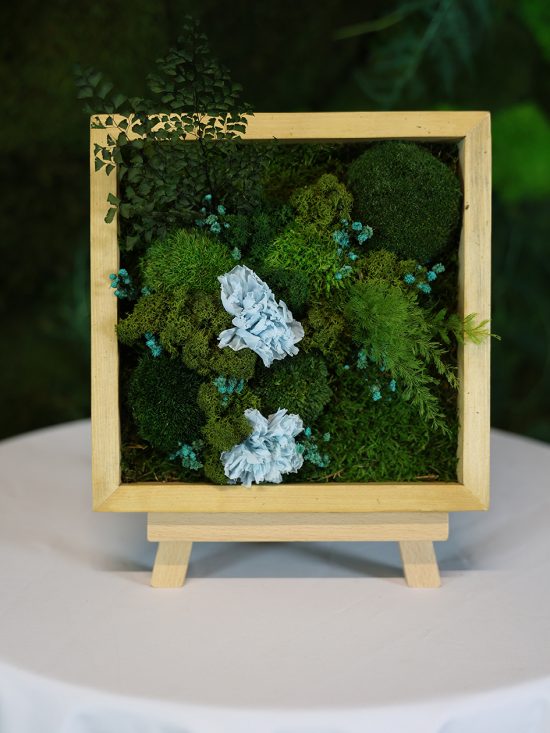 MA25102110 - Cadre Végétal Stabilisé 25 x 50