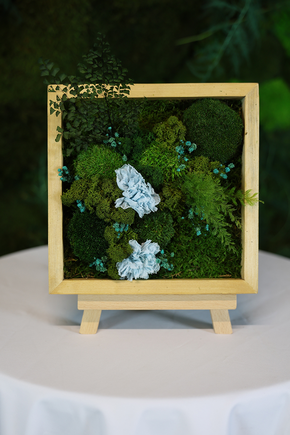 MA25102110 - Cadre Végétal Stabilisé 25 x 50