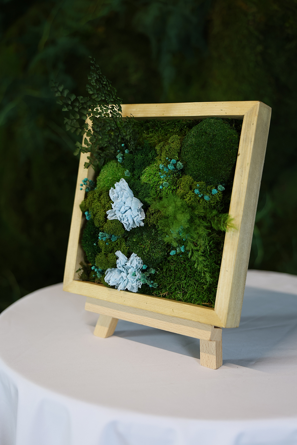 MA25102110 - Cadre Végétal Stabilisé 25 x 50