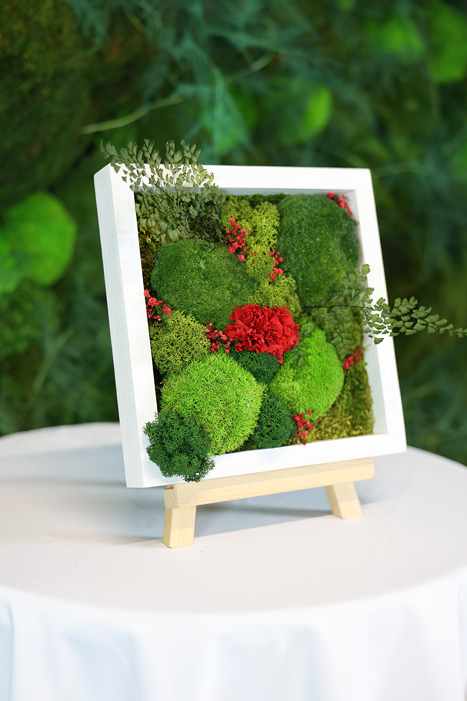 MA25112110 - Cadre Végétal Stabilisé 25 x 50