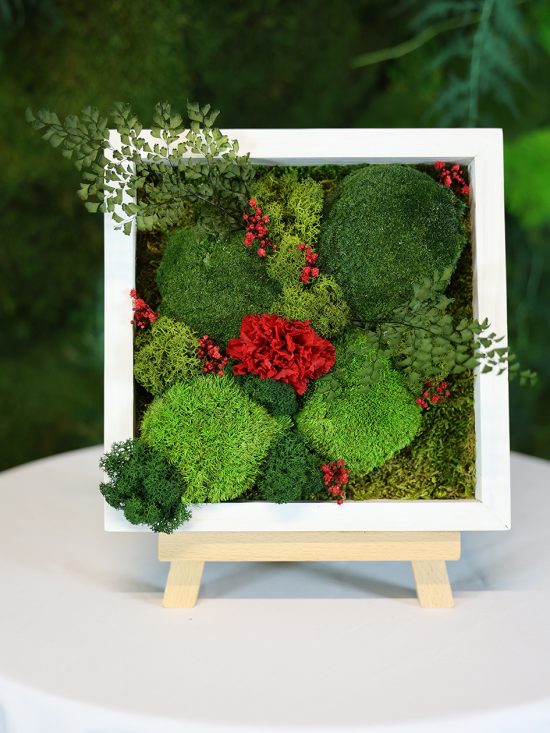 MA25112110 - Cadre Végétal Stabilisé 25 x 50