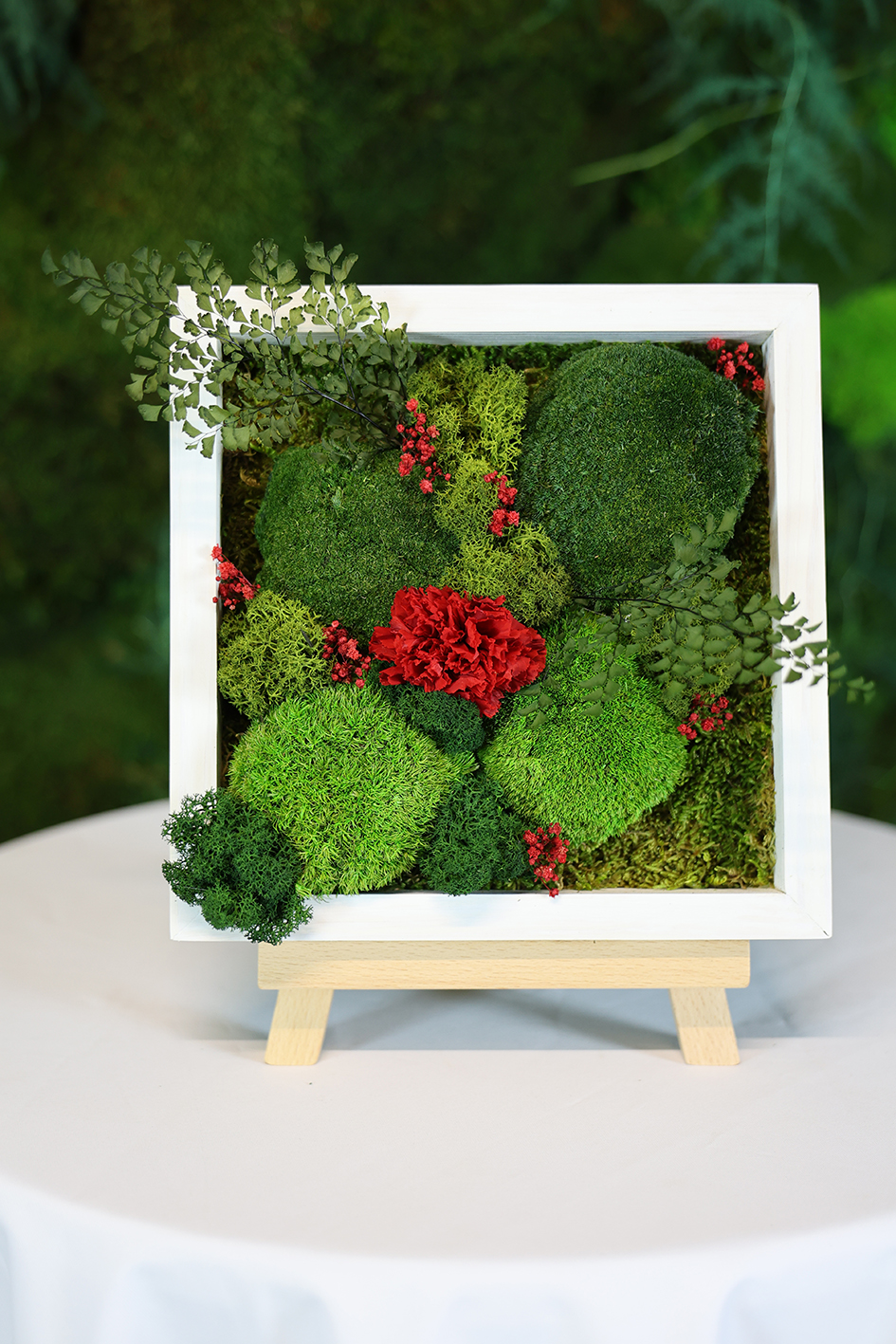 MA25112110 - Cadre Végétal Stabilisé 25 x 50