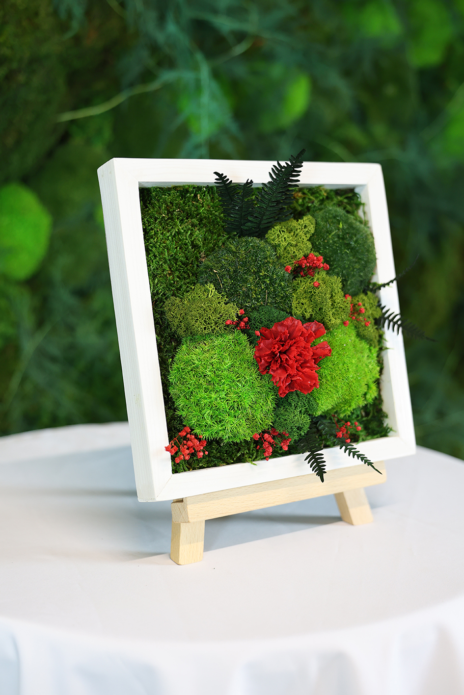 MA25122110 - Cadre Végétal Stabilisé 25 x 50