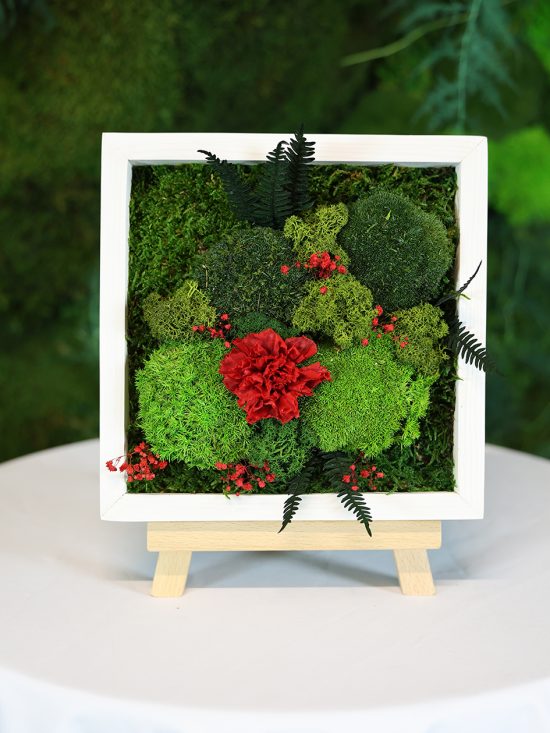 MA25122110 - Cadre Végétal Stabilisé 25 x 50