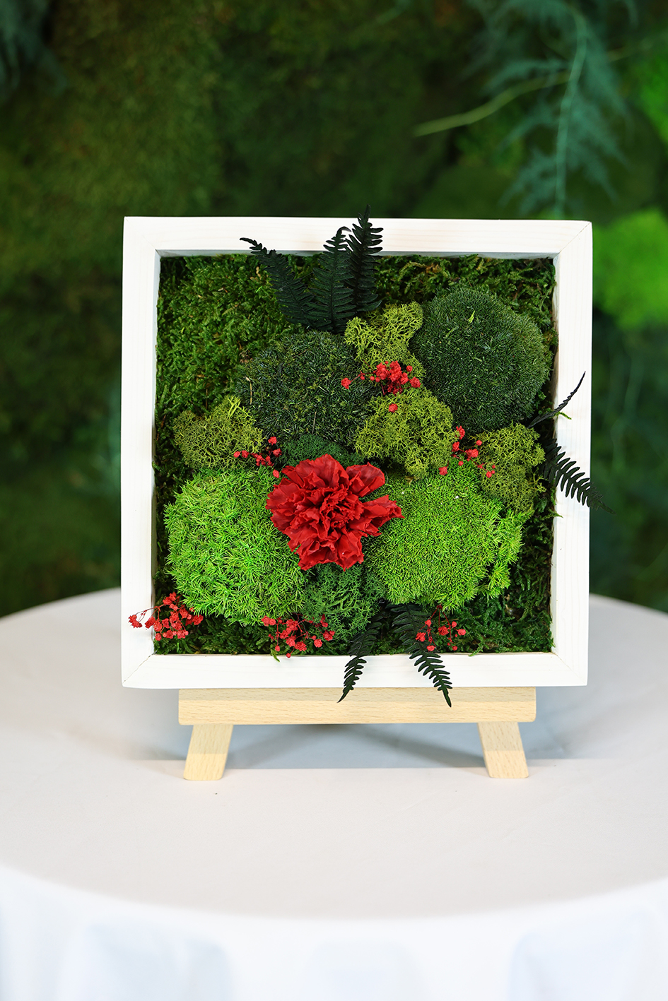 MA25122110 - Cadre Végétal Stabilisé 25 x 50