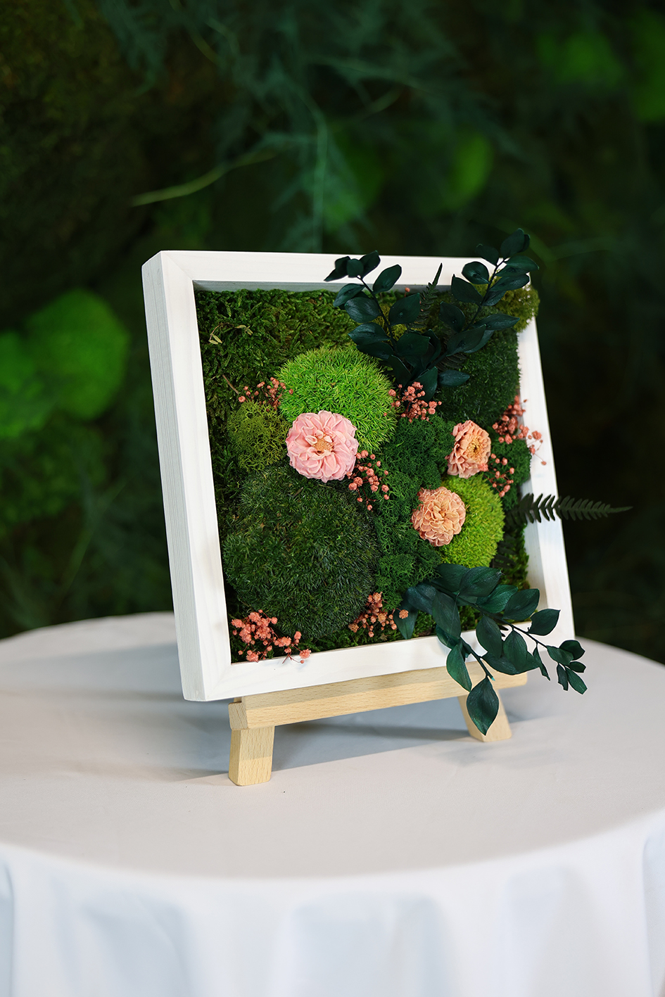 MA25132110 - Cadre Végétal Stabilisé 25 x 50