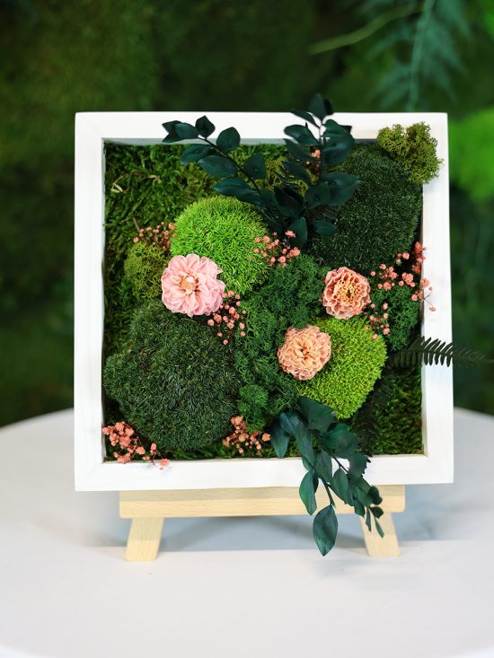 MA25132110 - Cadre Végétal Stabilisé 25 x 50