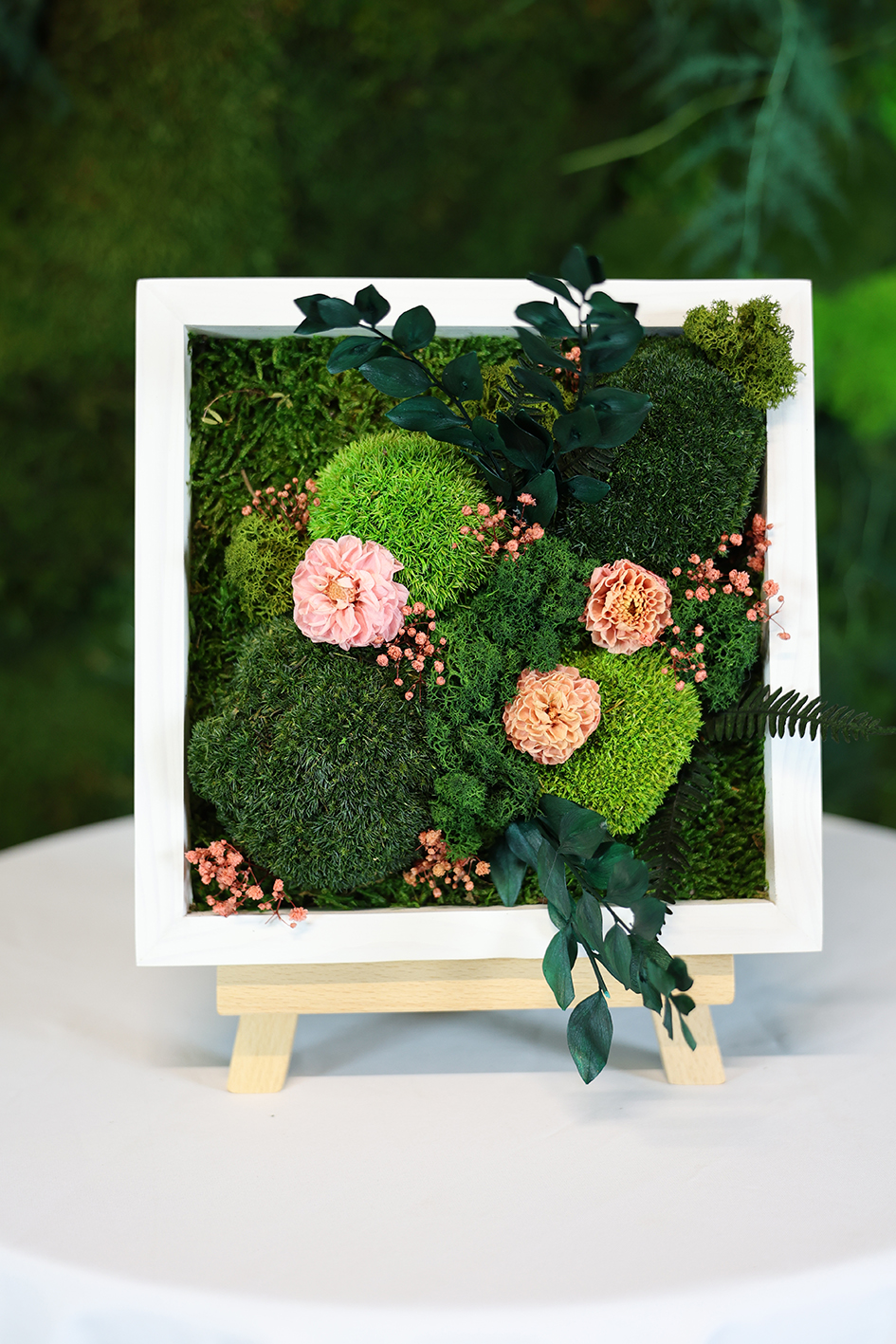 MA25132110 - Cadre Végétal Stabilisé 25 x 50